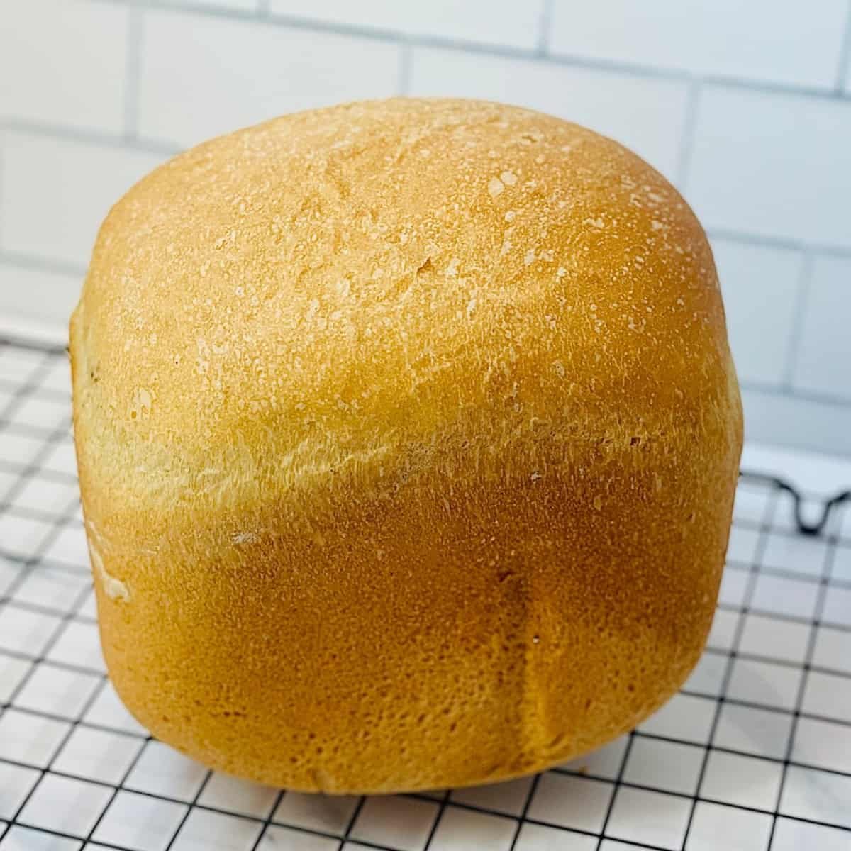 Bread Machine White Bread