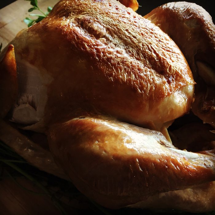 Eliza's Thanksgiving Turkey
